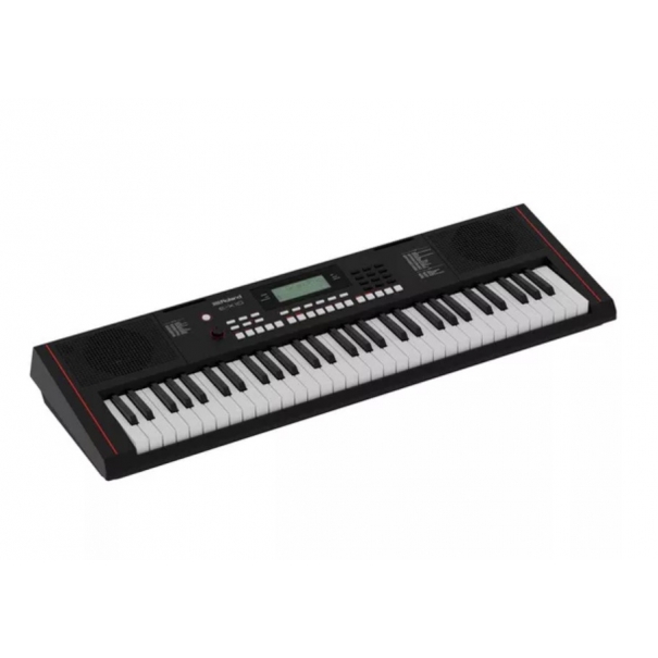 ROLAND E-X10