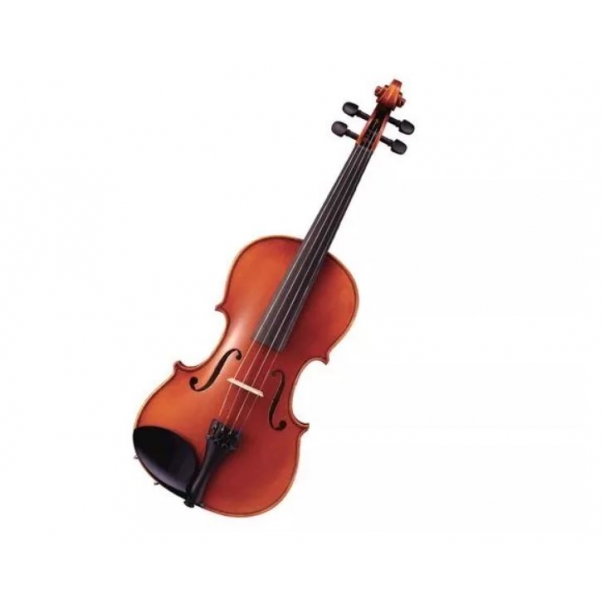 VIOLINO 4/4 CON ARCHETTO, COLOFONIA E CUSTODIA RIGIDA SAGOMATA