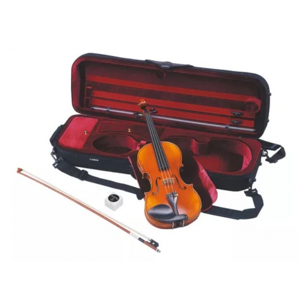 V10SG Violino 4/4 con Archetto e Custodia