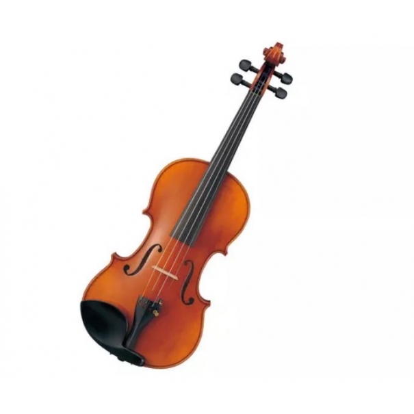 V10SG Violino 4/4 con Archetto e Custodia