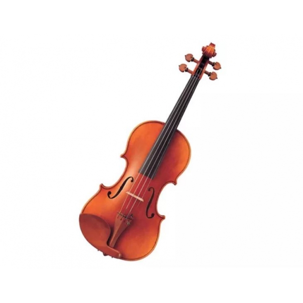 V20SG Violino 4/4 Violino 4/4 con Archetto e Custodia