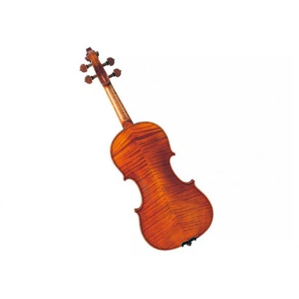 V20SG Violino 4/4 Violino 4/4 con Archetto e Custodia