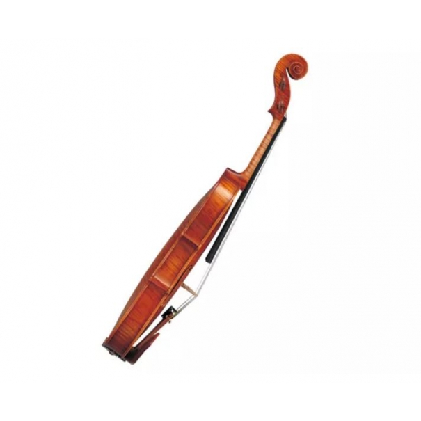 V20SG Violino 4/4 Violino 4/4 con Archetto e Custodia