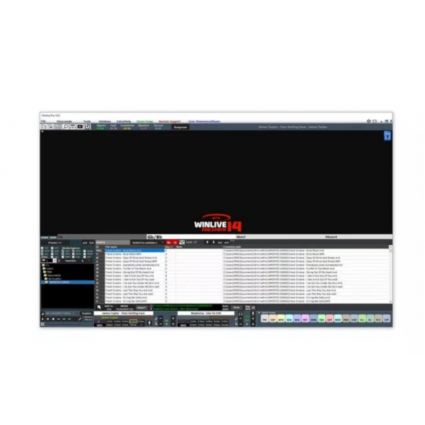 WINLIVE Pro Synth 14