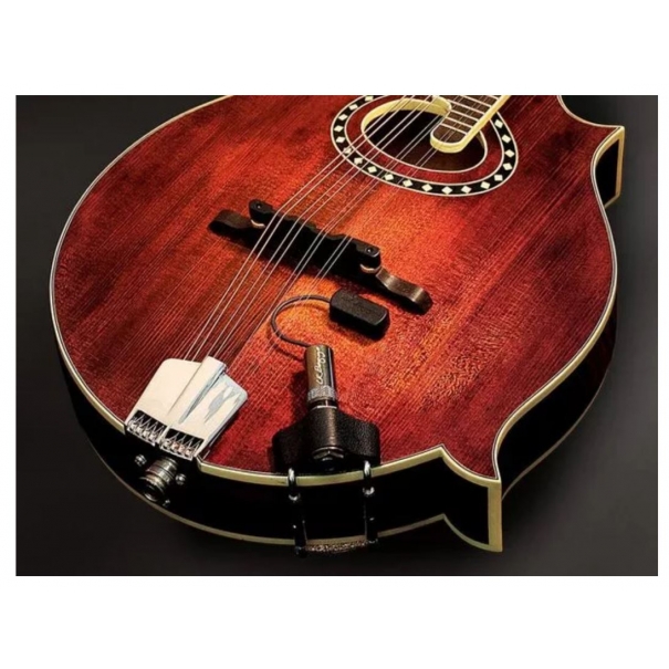 BAGGS Radius-M Mandolin