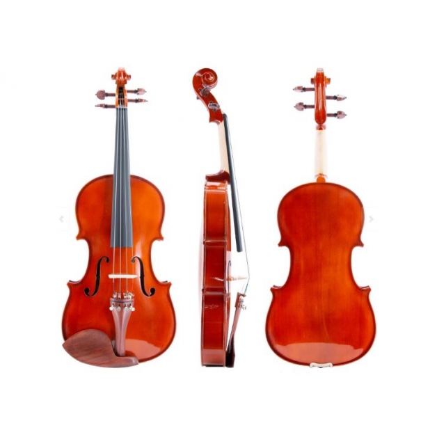 ffalstaff Viola da 40,6 cm Massello "Accademy" Finitura Lucida, parti in Palissandro (Custodia Sagomata) [VA21-16]