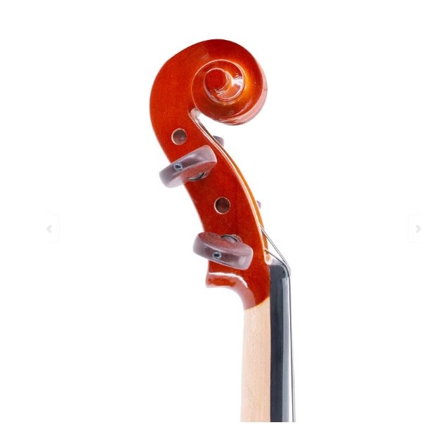 ffalstaff Viola da 38,1 cm Massello "Accademy" Finitura Lucida, parti in Palissandro (Custodia Sagomata) [VA21-15]